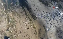 Edirne’de Tunca Nehri Kuruma Noktasına Geldi