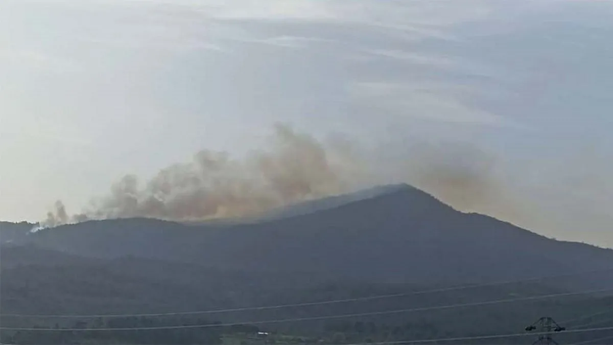 Milas’ta orman yangını: 2 hektar alan zarar gördü